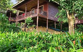 Sweet Jungle Bungalows