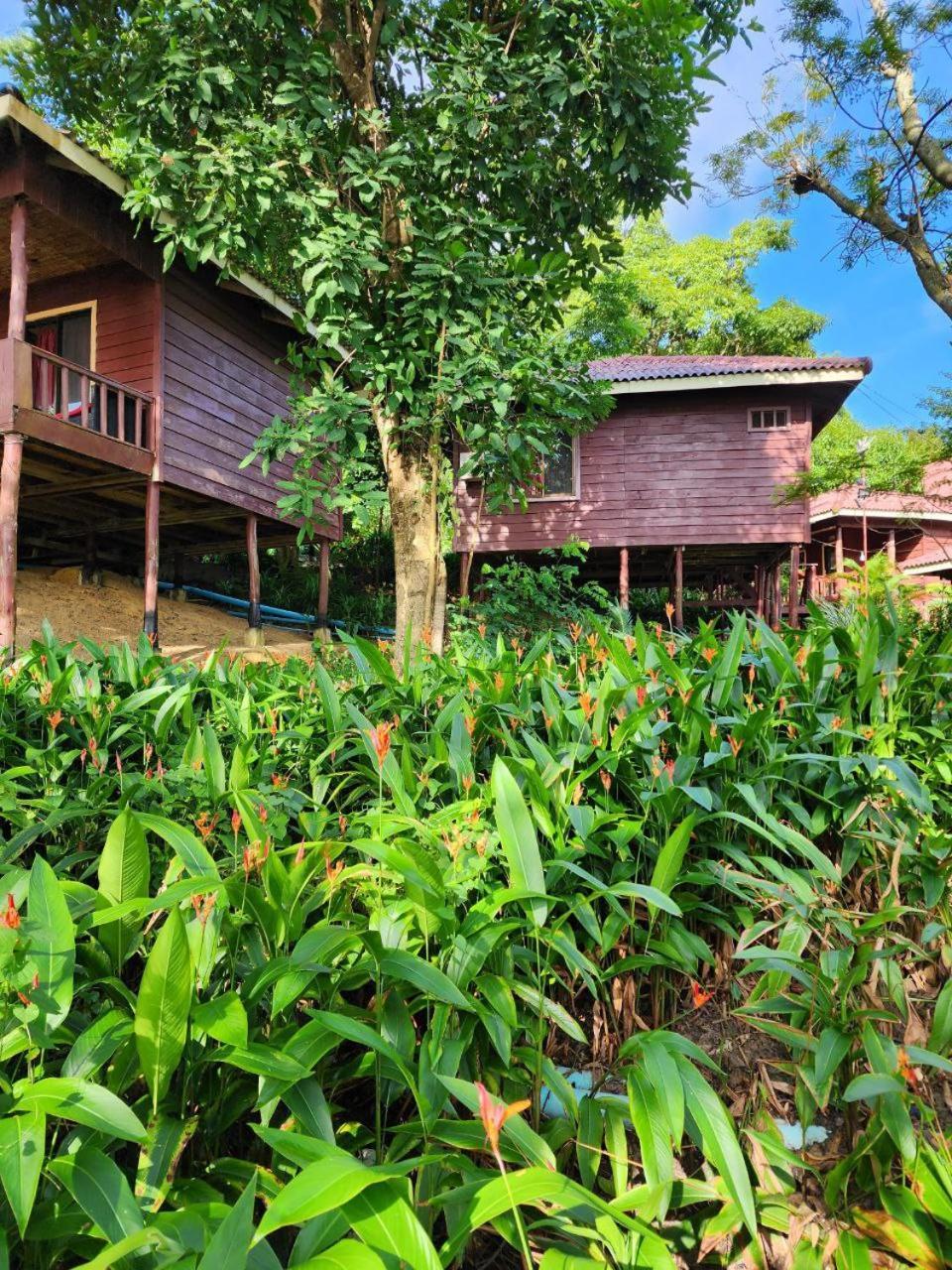 Sweet Jungle Bungalows Kaoh Touch Exterior photo
