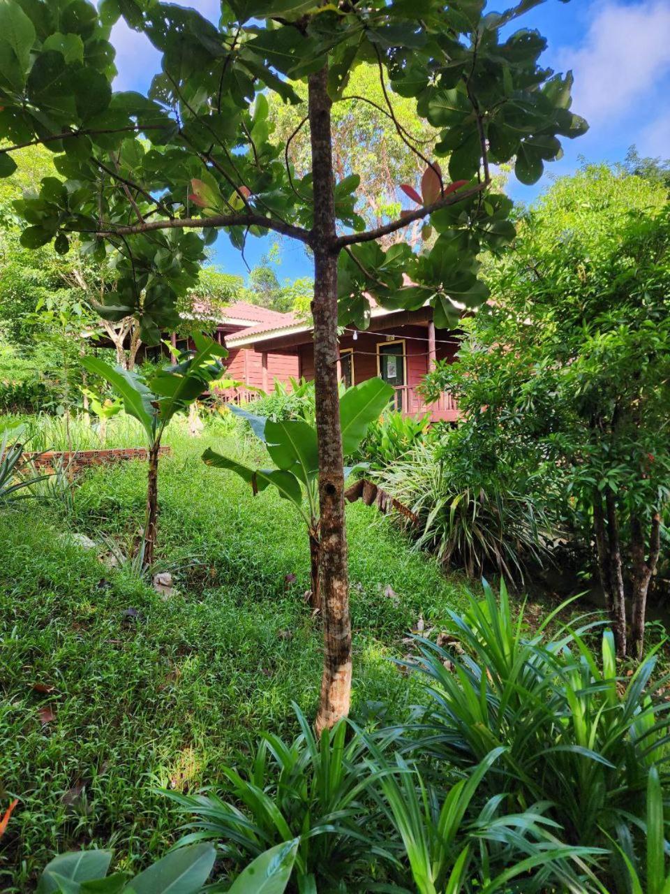 Sweet Jungle Bungalows Kaoh Touch Exterior photo